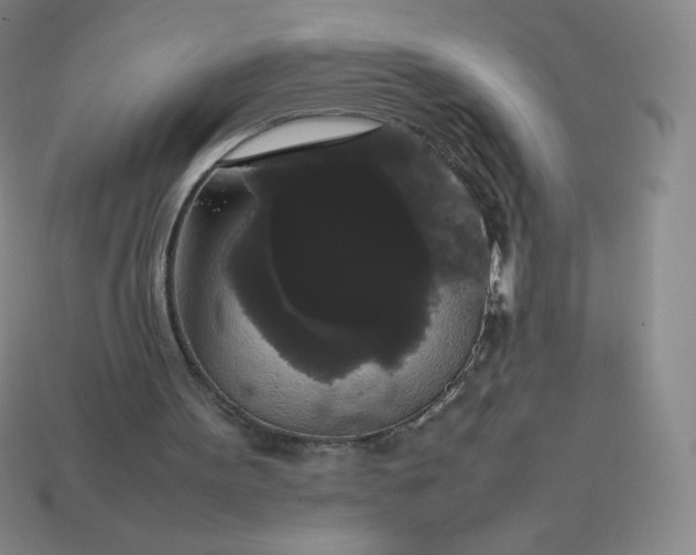 X0000113850099200910081654