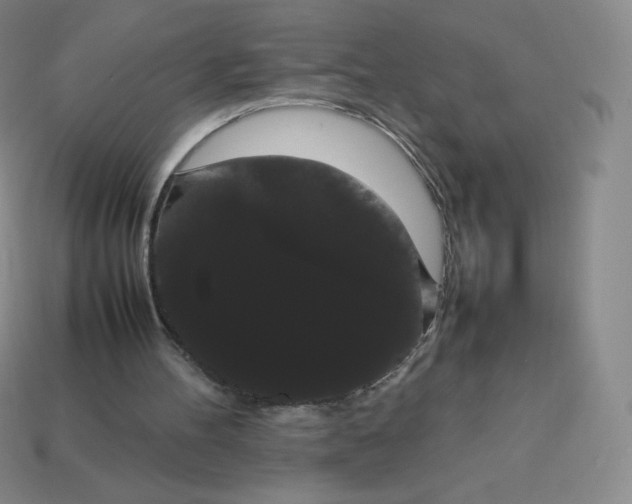 X0000113850100200910081654