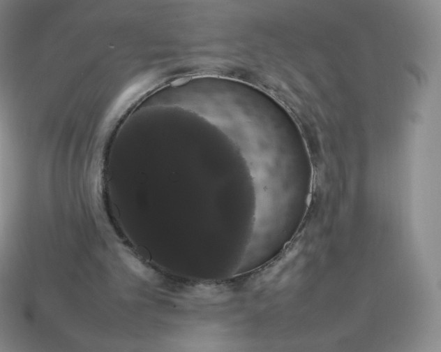 X0000113850101200910081654