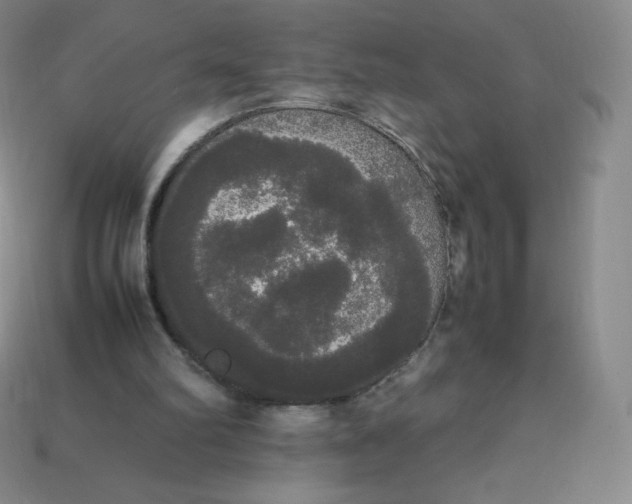 X0000113850102200910081654