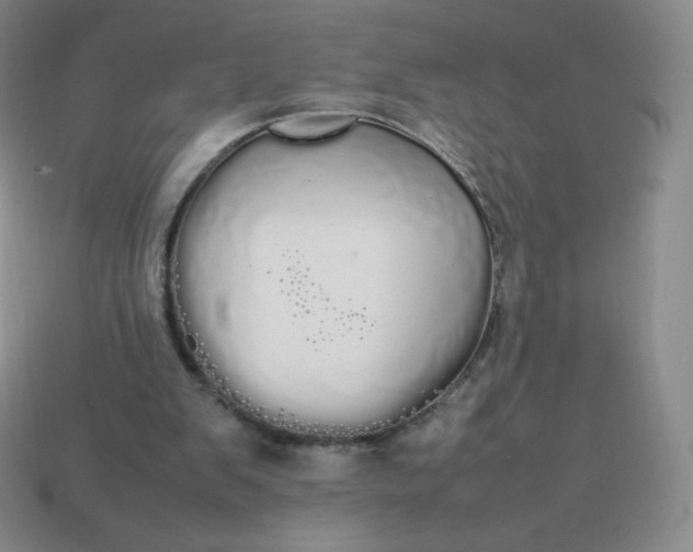 X0000113850103200910081654