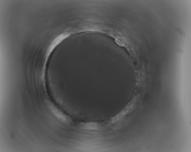 X0000113850104200910081654