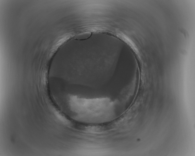 X0000113850105200910081654