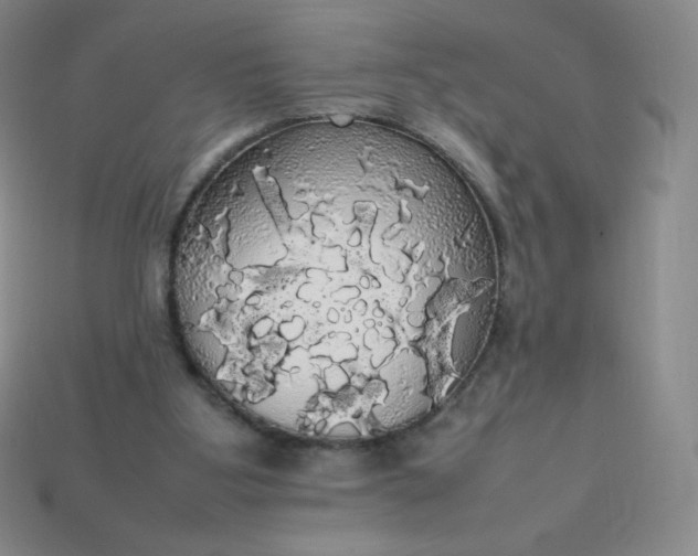 X0000113850107200910081654