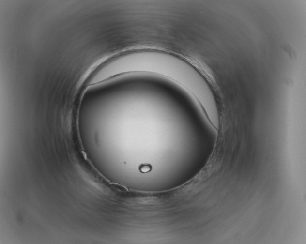 X0000113850108200910081654