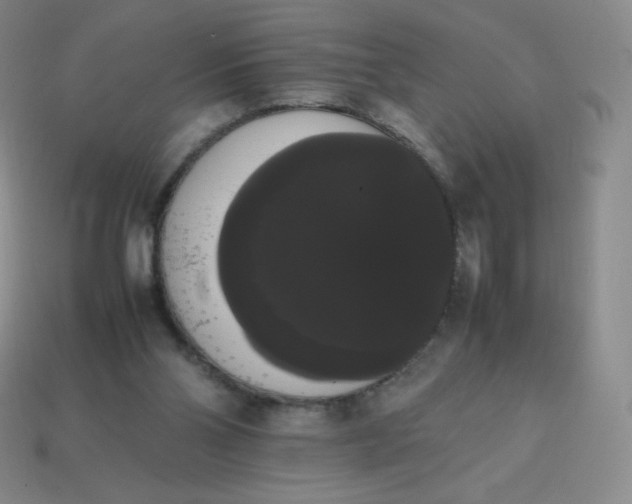 X0000113850110200910081654