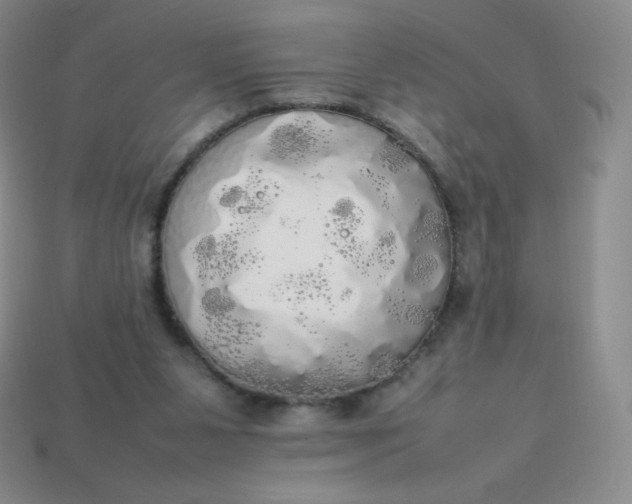 X0000113850111200910081654