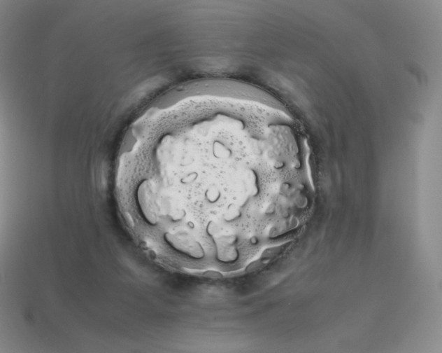 X0000113850115200910081654