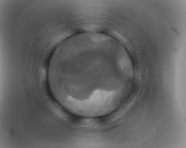 X0000113850117200910081654