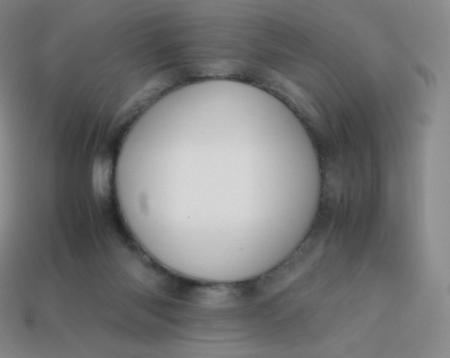 X0000113850118200910081654