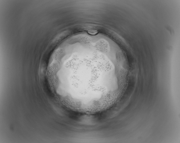 X0000113850119200910081654