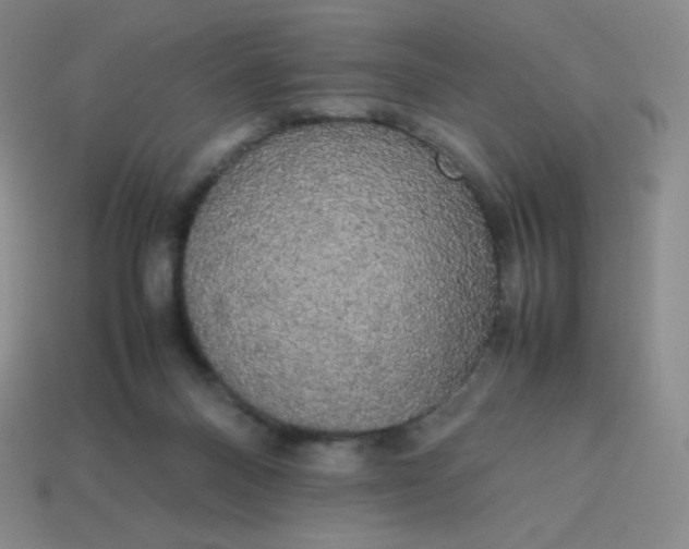 X0000113850120200910081654