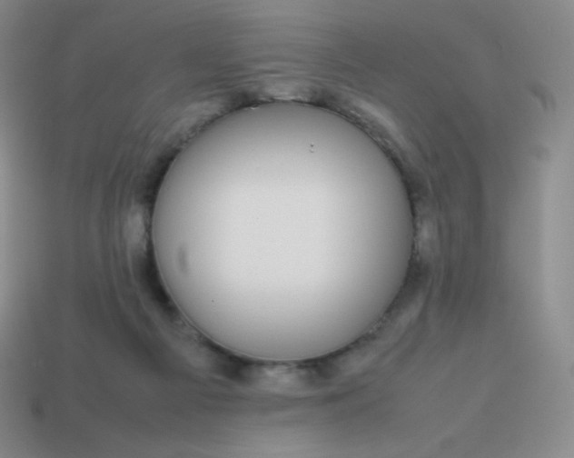 X0000113850121200910081654