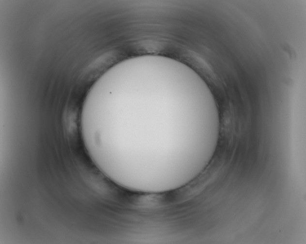 X0000113850122200910081654