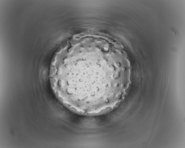 X0000113850123200910081654