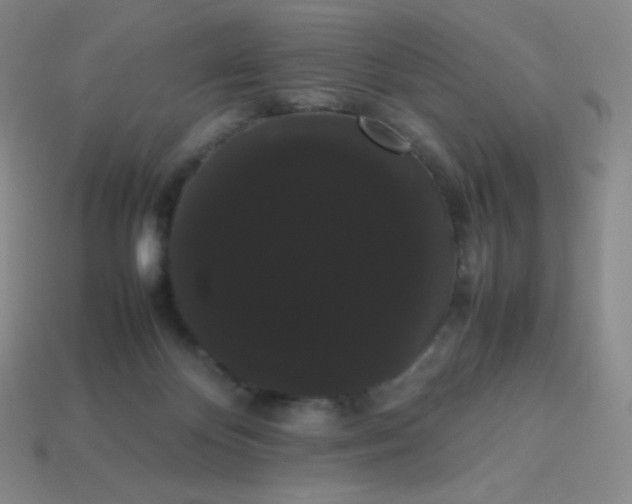 X0000113850124200910081653