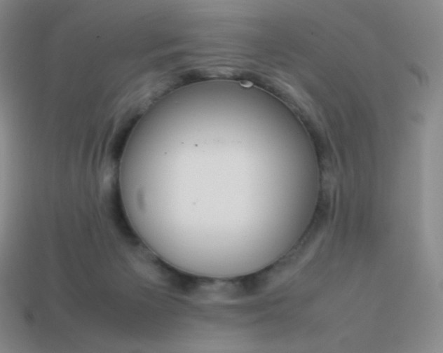 X0000113850125200910081653