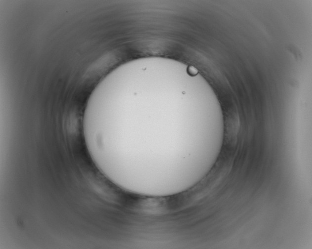 X0000113850126200910081653