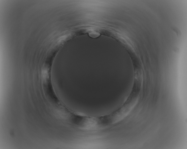 X0000113850127200910081653