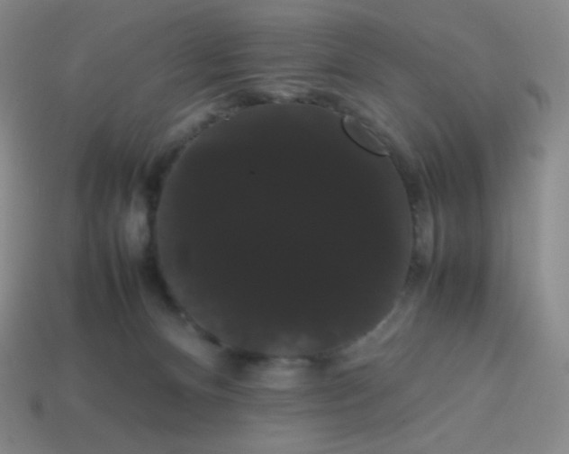 X0000113850128200910081653