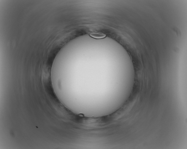 X0000113850129200910081653