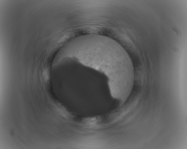 X0000113850131200910081653