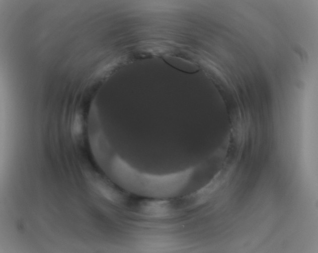 X0000113850132200910081653