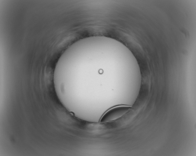 X0000113850133200910081653