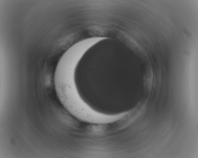 X0000113850134200910081653