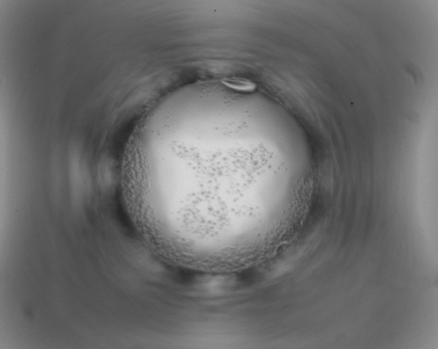 X0000113850135200910081653