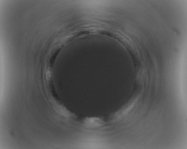 X0000113850137200910081653