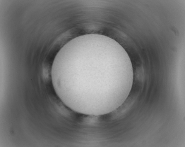 X0000113850138200910081653