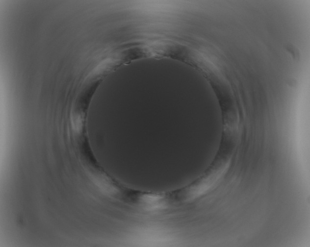 X0000113850139200910081653