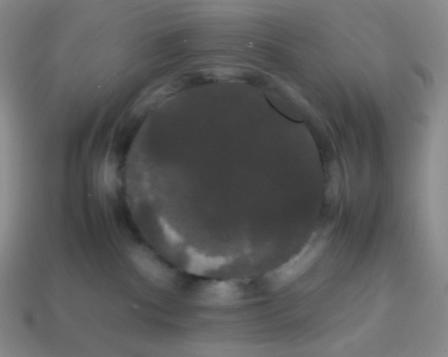 X0000113850140200910081653