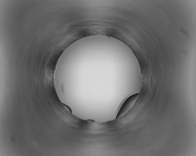 X0000113850141200910081653