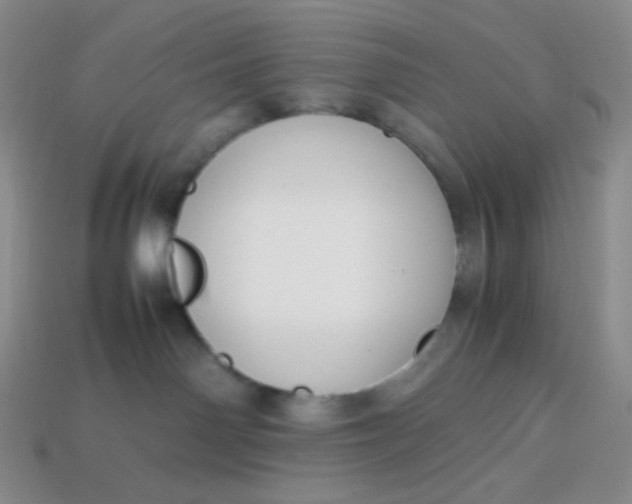 X0000113850142200910081653