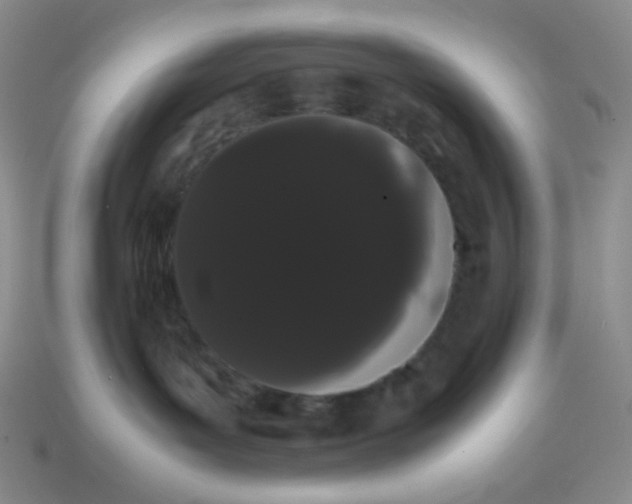 X0000113850143200910081653