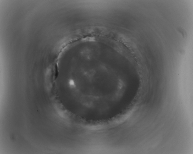 X0000113850144200910081653