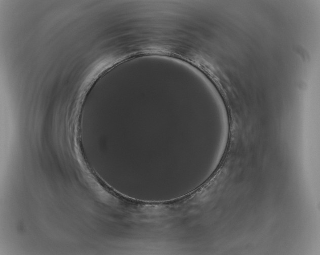 X0000113850145200910081653