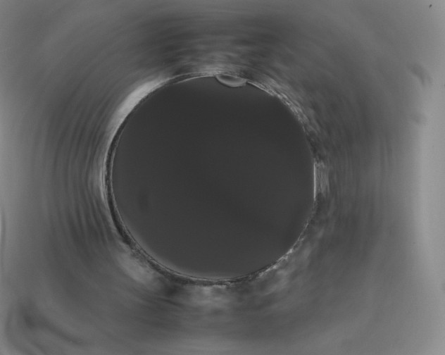 X0000113850147200910081653