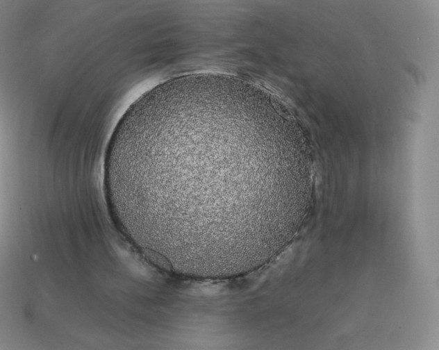 X0000113850148200910081653