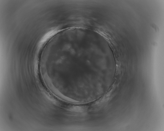 X0000113850149200910081653