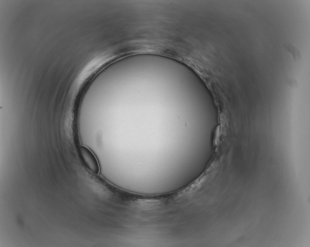 X0000113850150200910081653