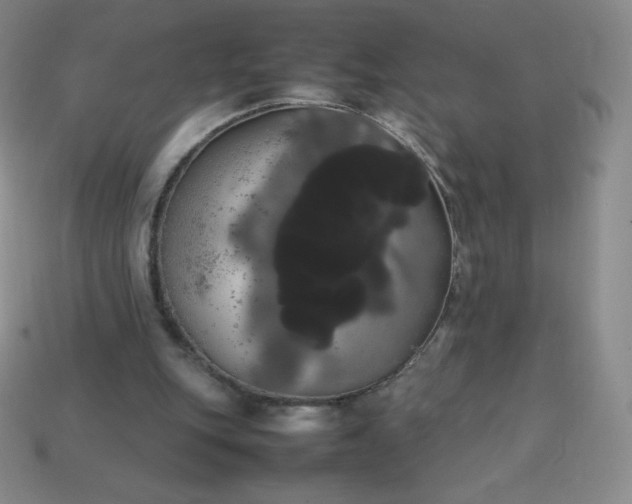 X0000113850151200910081653