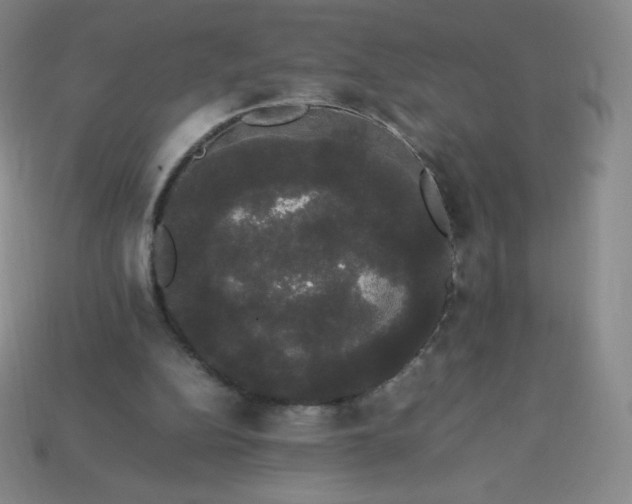 X0000113850152200910081653