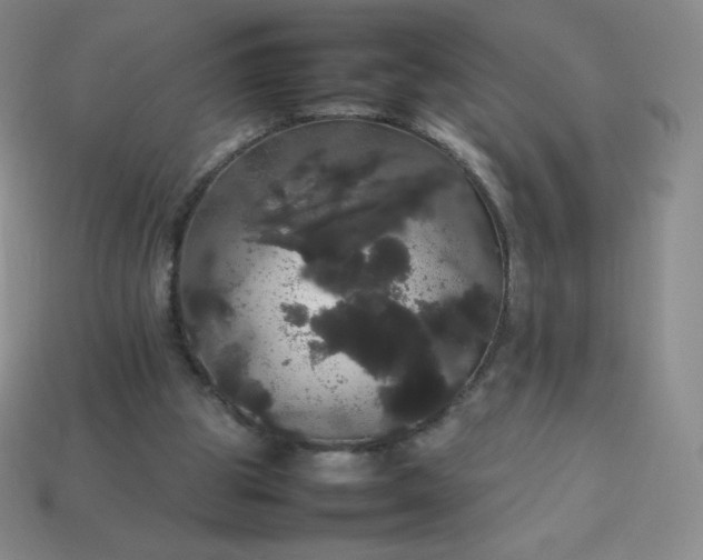 X0000113850153200910081653