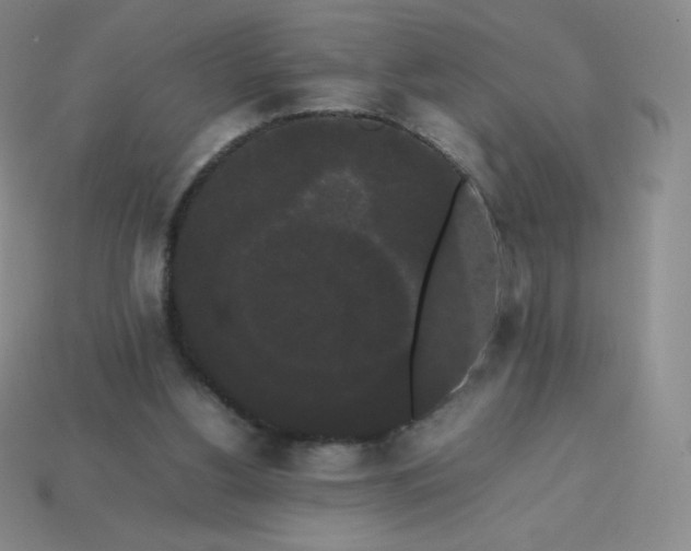 X0000113850156200910081653