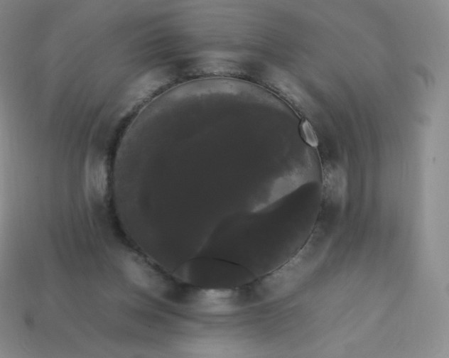 X0000113850158200910081653