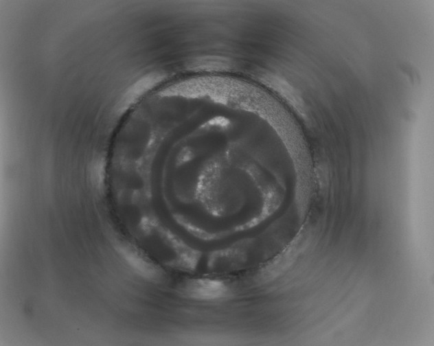 X0000113850159200910081653