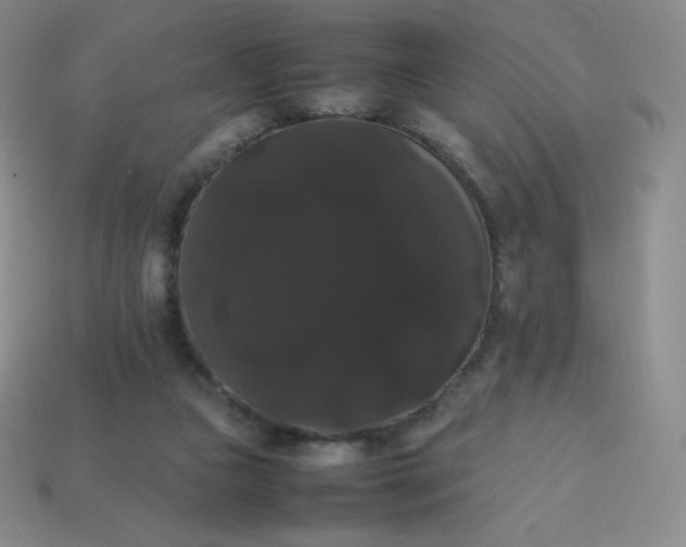 X0000113850161200910081653